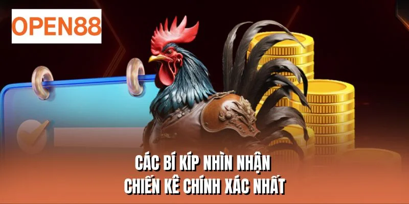 Các bí kíp nhìn nhận chiến kê chính xác nhất