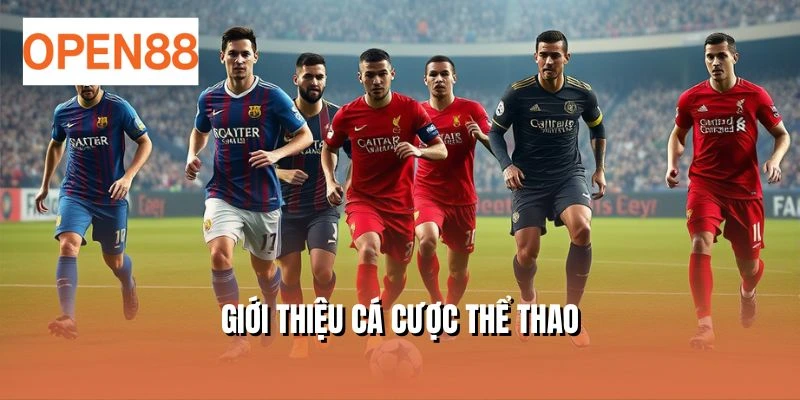 Giới thiệu cá cược thể thao