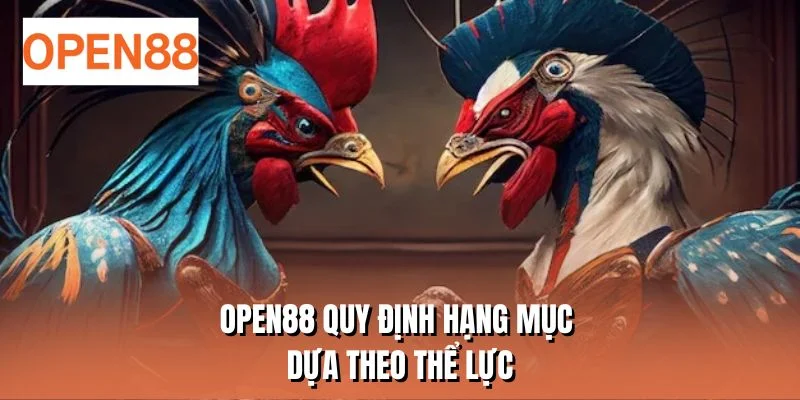 OPEN88 quy định hạng mục dựa theo thể lực